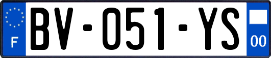 BV-051-YS