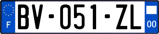 BV-051-ZL