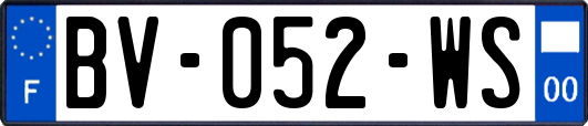 BV-052-WS