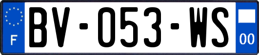 BV-053-WS