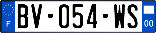 BV-054-WS