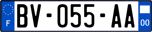 BV-055-AA