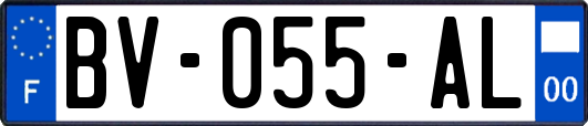 BV-055-AL