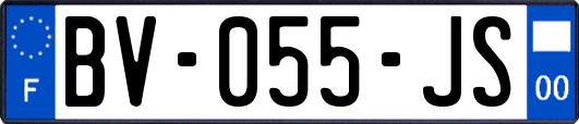BV-055-JS