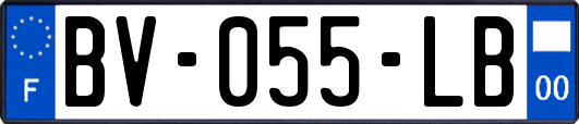 BV-055-LB