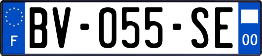 BV-055-SE