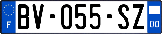 BV-055-SZ