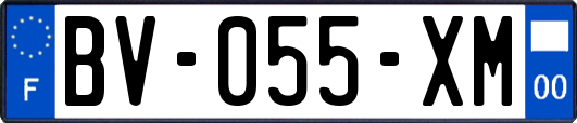 BV-055-XM