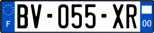 BV-055-XR