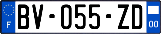 BV-055-ZD