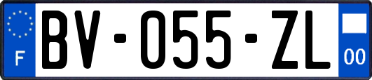 BV-055-ZL