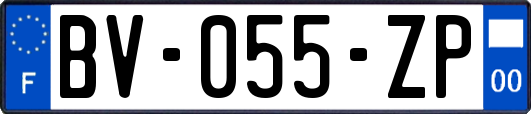 BV-055-ZP