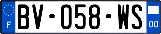 BV-058-WS