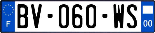 BV-060-WS