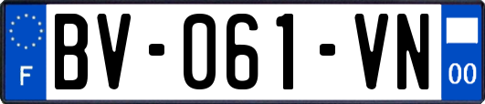 BV-061-VN