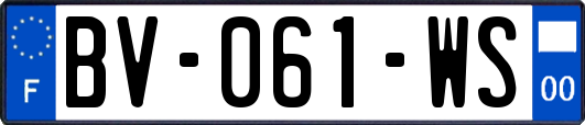 BV-061-WS