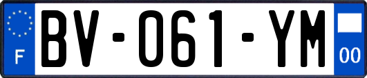 BV-061-YM