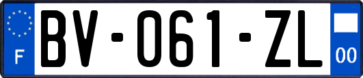 BV-061-ZL