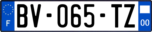 BV-065-TZ