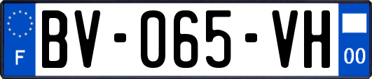 BV-065-VH