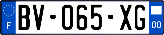 BV-065-XG