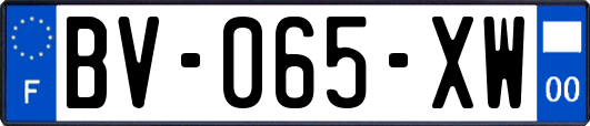 BV-065-XW