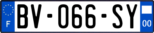 BV-066-SY