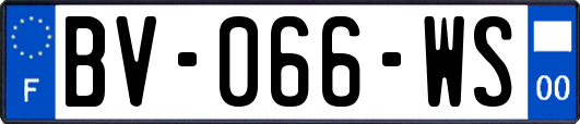 BV-066-WS