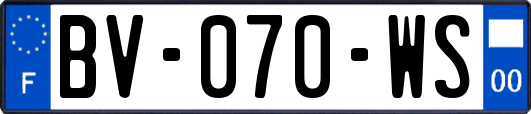 BV-070-WS