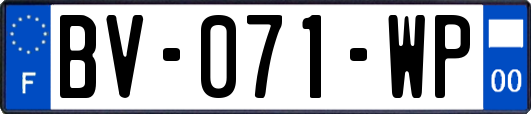 BV-071-WP