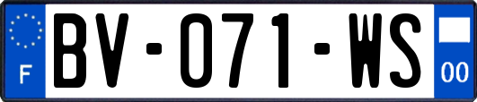 BV-071-WS