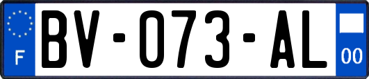 BV-073-AL