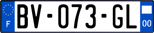 BV-073-GL