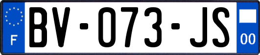 BV-073-JS