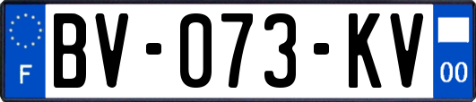 BV-073-KV