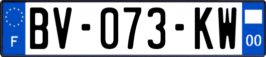 BV-073-KW