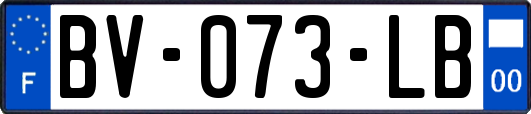 BV-073-LB
