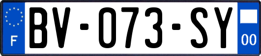 BV-073-SY