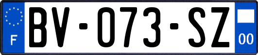 BV-073-SZ