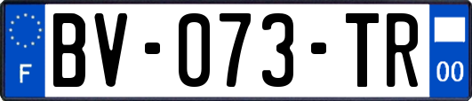 BV-073-TR