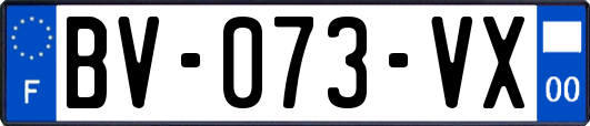 BV-073-VX