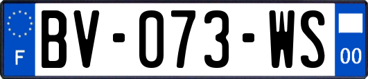 BV-073-WS