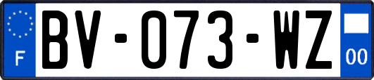 BV-073-WZ