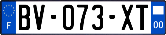 BV-073-XT