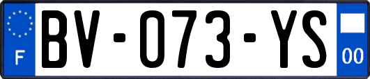 BV-073-YS