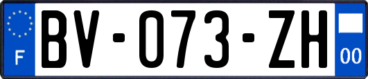 BV-073-ZH