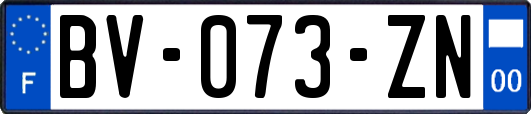 BV-073-ZN