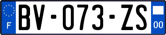 BV-073-ZS