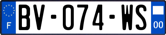 BV-074-WS