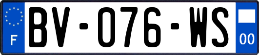 BV-076-WS